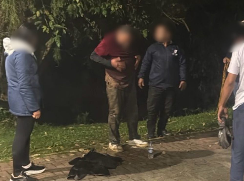 Gritos por socorro mobilizam resgate após queda no rio em Timbó