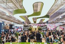 Cactus Gaming se destaca por estrutura própria de dados e validação de identidade