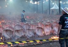 Maior churrasco de fogo de chão do mundo assa 17 toneladas de carne na Festa do Trabalhador