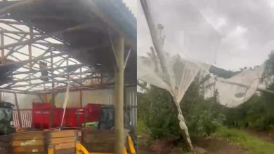 Granizo, vendaval e destruição: temporal castiga SC e deixa rastro de prejuízos