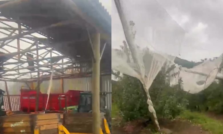 Granizo, vendaval e destruição: temporal castiga SC e deixa rastro de prejuízos