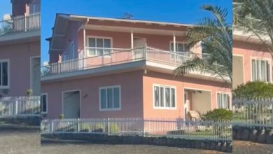 Para fugir do sol: casa giratória criada para garantir chimarrão na sombra vira atração em SC