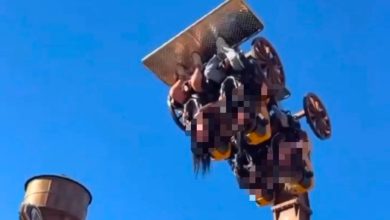 Queda de energia faz atração do Beto Carrero, em SC, parar com visitantes de cabeça para baixo