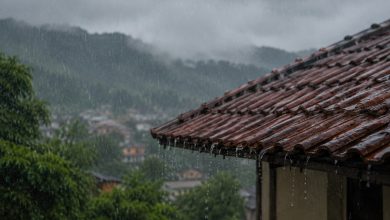 Governo de SC antecipa medidas e coloca estado em alerta por avanço do El Niño