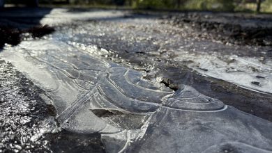 Massa de ar frio derruba temperaturas e provoca madrugadas congelantes em SC