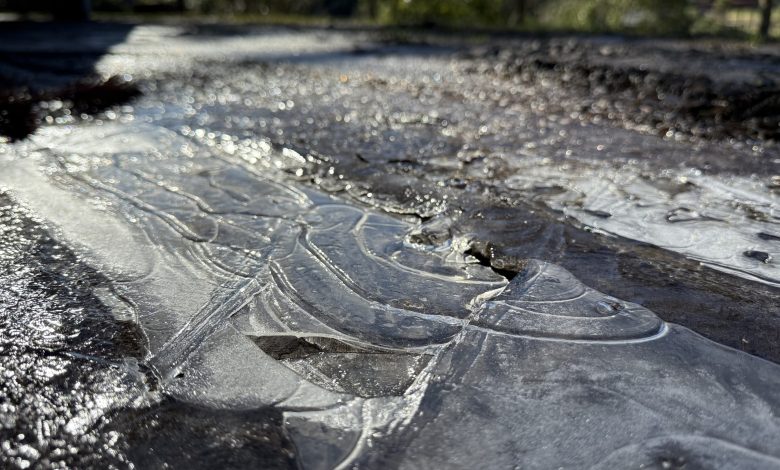 Massa de ar frio derruba temperaturas e provoca madrugadas congelantes em SC