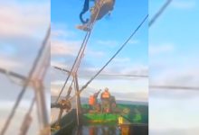 Tentativa de salvar ave marinha termina com morte de pescador em alto-mar em SC