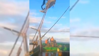 Tentativa de salvar ave marinha termina com morte de pescador em alto-mar em SC