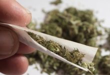 Santa Catarina supera 10 mil multas por uso de drogas em espaços públicos