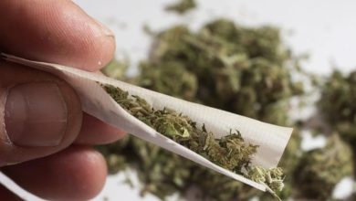 Santa Catarina supera 10 mil multas por uso de drogas em espaços públicos