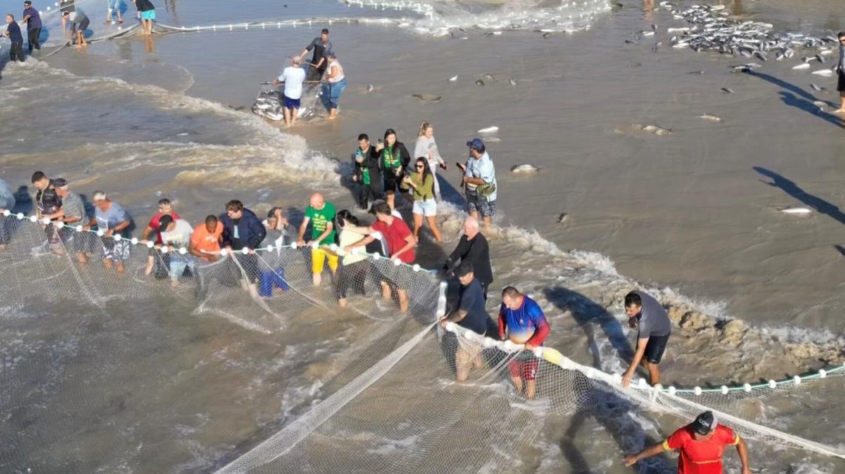 Luciano Hang participa de pesca da tainha em Bombinhas e defende tradição dos pescadores catarinenses