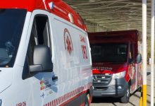Queda de árvore deixa homem com suspeita de lesão na coluna em Indaial