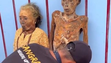 Eles desenterram os mortos, trocam suas roupas e celebram a memória: o ritual da Indonésia que impressiona o mundo