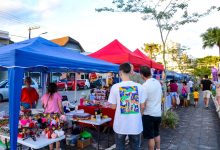 Arte, feira e diversão: Praça de Indaial terá sábado especial com programação para toda a família