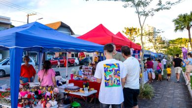 Arte, feira e diversão: Praça de Indaial terá sábado especial com programação para toda a família