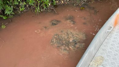 Empresa suspeita de poluir o Rio Benedito é identificada por órgãos ambientais em Timbó