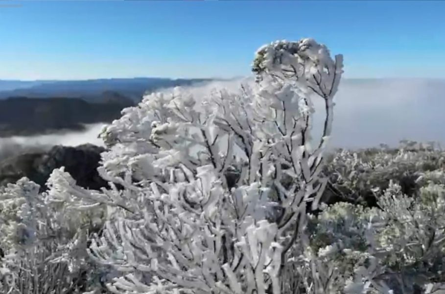 SC amanhece congelada com geada e temperaturas chegando a -3°C em várias regiões do estado