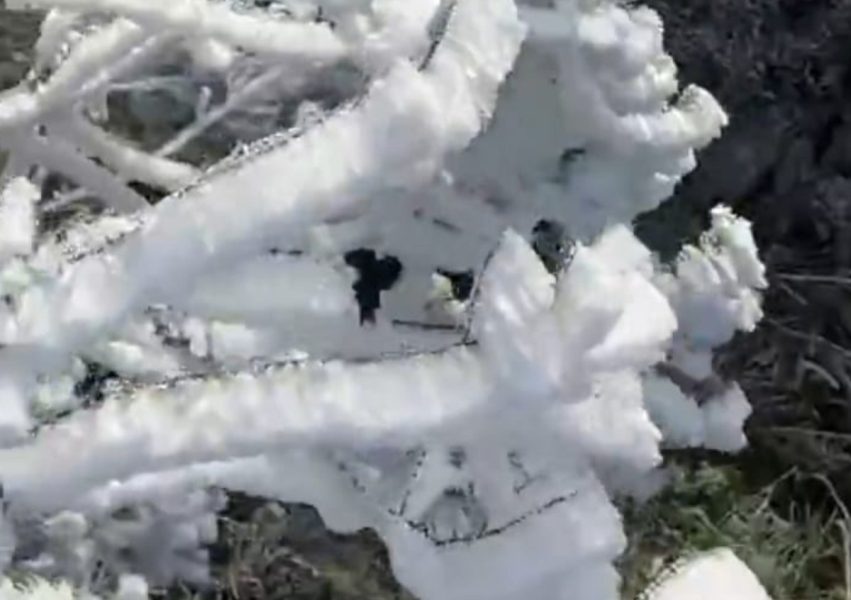 SC amanhece congelada com geada e temperaturas chegando a -3°C em várias regiões do estado