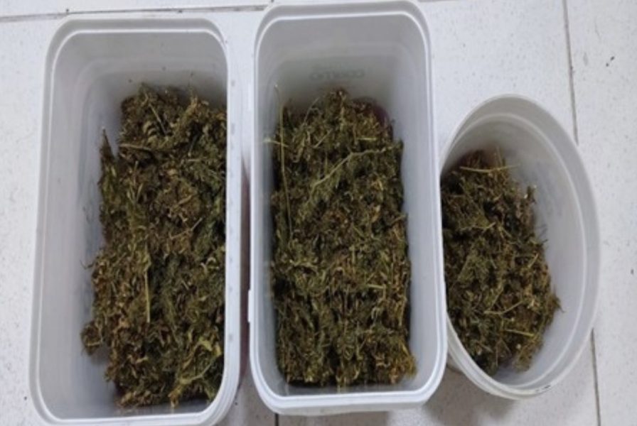 Abordagem por lanterna irregular leva PM a apreender mais de meio quilo de maconha em Indaial