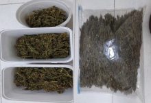 Abordagem por lanterna irregular leva PM a apreender mais de meio quilo de maconha em Indaial