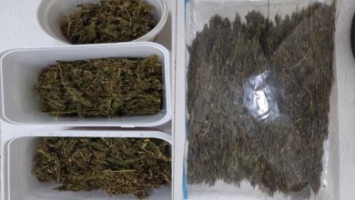 Abordagem por lanterna irregular leva PM a apreender mais de meio quilo de maconha em Indaial