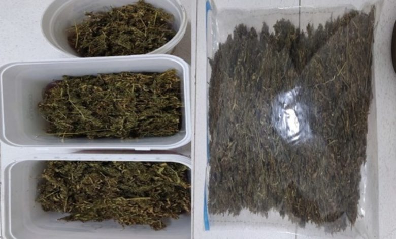 Abordagem por lanterna irregular leva PM a apreender mais de meio quilo de maconha em Indaial