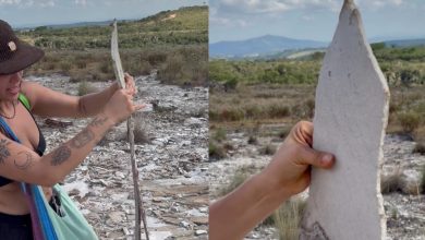 “Parece um peixe”: formação conhecida como “Pedra do Menino” surpreende turistas durante trilha para cachoeira
