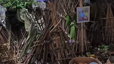 Em meio às paisagens de Bali, uma vila preserva um ritual funerário que parece saído de um filme
