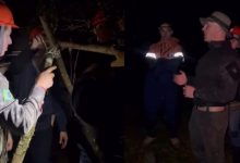 Defesa Civil realiza treinamento de resistência e sobrevivência em Timbó