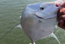 Pescador fisga raro peixe-galo durante pescaria e impressiona comunidade pesqueira da região