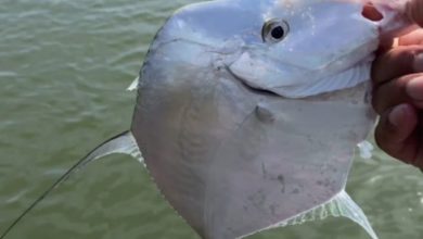 Pescador fisga raro peixe-galo durante pescaria e impressiona comunidade pesqueira da região