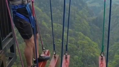 Brasileiro encara parque radical na China e reação de desespero viraliza nas redes