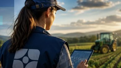 IBGE abre inscrições para processo seletivo com vagas na região e salários de até R$ 4.008