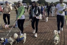 Pet Day transforma parque de Indaial em ponto de encontro para tutores e seus animais