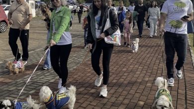 Pet Day transforma parque de Indaial em ponto de encontro para tutores e seus animais