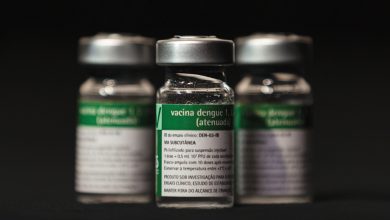 Alerta na vacinação: Ministério da Saúde interrompe uso de vacina contra dengue do Butantan