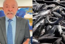 Lula anuncia ampliação da cota da tainha e liberação da pesca artesanal em SC
