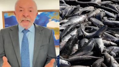 Lula anuncia ampliação da cota da tainha e liberação da pesca artesanal em SC
