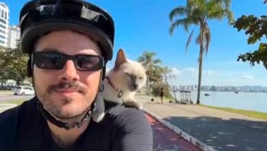 Gato passeia de bicicleta nos ombros do tutor em SC e reações do felino viralizam nas redes