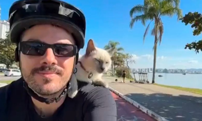 Gato passeia de bicicleta nos ombros do tutor em SC e reações do felino viralizam nas redes
