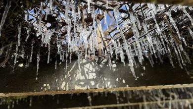Frio intenso transforma paisagem da Serra catarinense e leva termômetros a temperaturas negativas