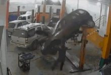 Carro despenca de elevador em oficina e quase atinge funcionário em SC