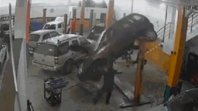 Carro despenca de elevador em oficina e quase atinge funcionário em SC