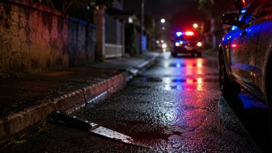 Polícia descobre que suposto assalto com facadas em Blumenau foi inventado para encobrir agressão da esposa