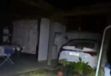 Homem é preso pela Civil de Timbó em Rio dos Cedros por investigação de crimes ambientais no Paraná