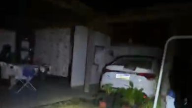 Homem é preso pela Civil de Timbó em Rio dos Cedros por investigação de crimes ambientais no Paraná