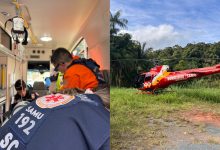 Idosa sofre amputação das mãos após ser atropelada por caminhão de lixo em Blumenau