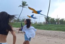 Família corre pela praia acompanhada por araras e cachorra e encanta a internet