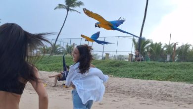Família corre pela praia acompanhada por araras e cachorra e encanta a internet