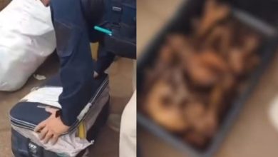 Ossada humana e cinzas são encontradas pela PRF durante inspeção em ônibus interestadual